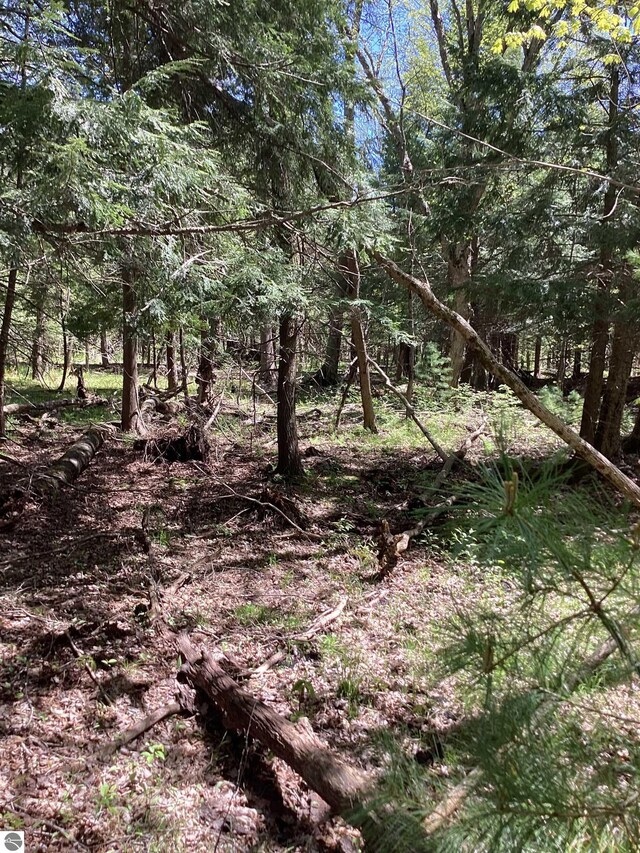 00V/L Honor Hwy, Interlochen, MI 49643