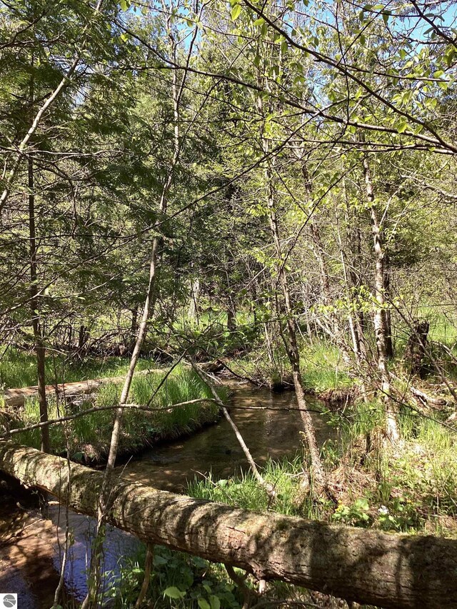 00V/L Honor Hwy, Interlochen, MI 49643