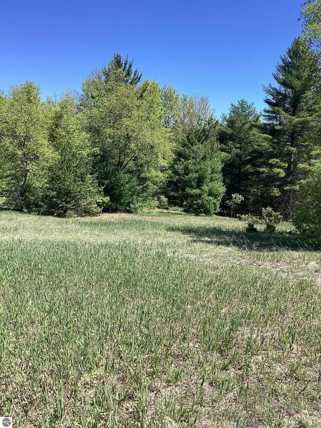 00V/L Honor Hwy, Interlochen, MI 49643