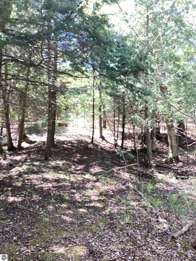 00V/L Honor Hwy, Interlochen, MI 49643
