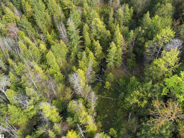 00V/L Honor Hwy, Interlochen, MI 49643