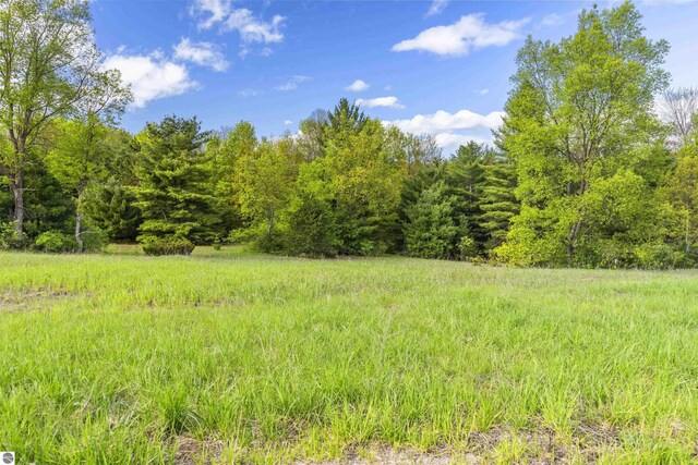 00V/L Honor Hwy, Interlochen, MI 49643
