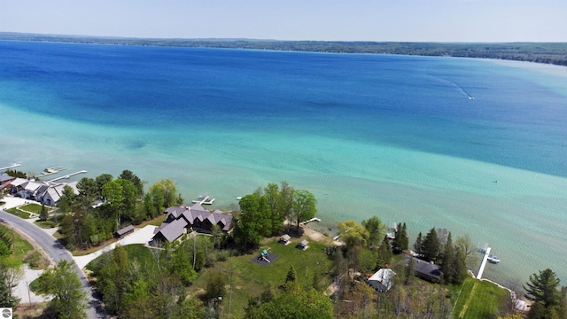 12149 Cabin Ln, Rapid City, MI 49676 - drone / aerial view of a large body of water