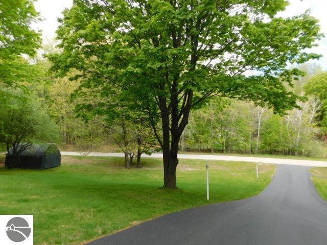 12149 Cabin Ln, Rapid City, MI 49676 - surrounding community with a lawn