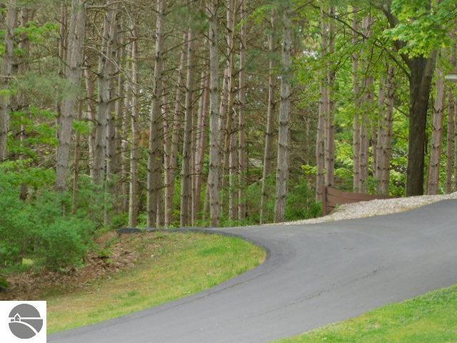 12149 Cabin Ln, Rapid City, MI 49676 - view of asphalt road featuring a view of trees