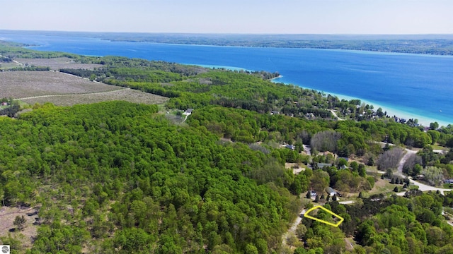 12149 Cabin Ln, Rapid City, MI 49676 - drone / aerial view of a forest and a large body of water