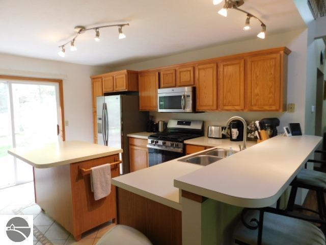 12149 Cabin Ln, Rapid City, MI 49676 - kitchen featuring appliances with stainless steel finishes, light countertops, a sink, and track lighting