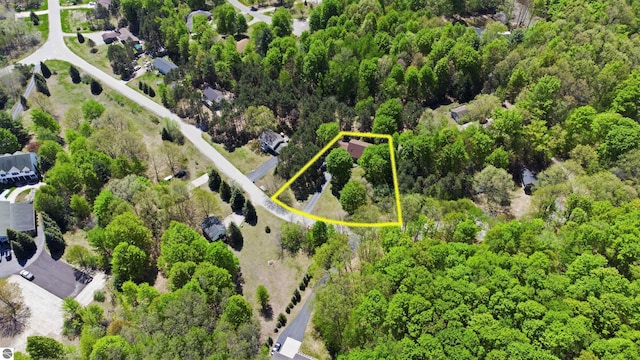 12149 Cabin Ln, Rapid City, MI 49676 - aerial view of property and surrounding area featuring property boundaries highlighted
