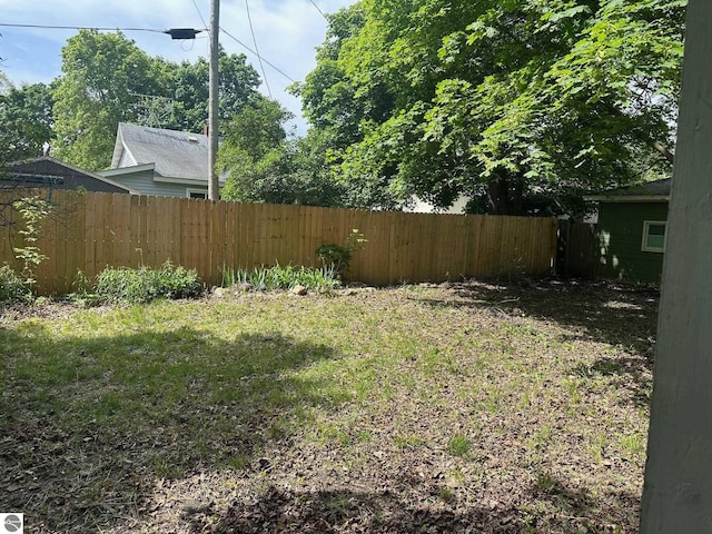 1007 Park St, Mount Pleasant, MI 48858 - view of yard
