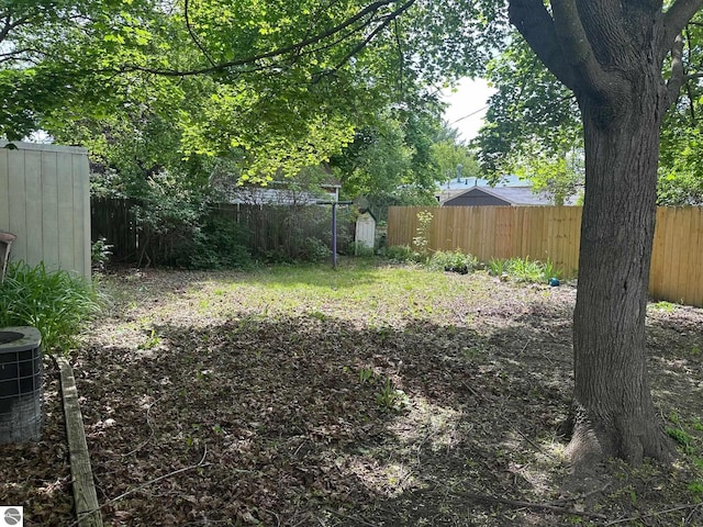 1007 Park St, Mount Pleasant, MI 48858 - view of yard