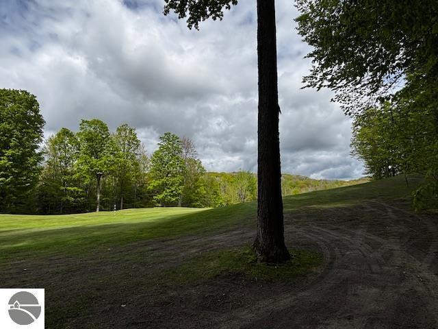 UNIT24 Forest Trl, Bellaire, MI 49615