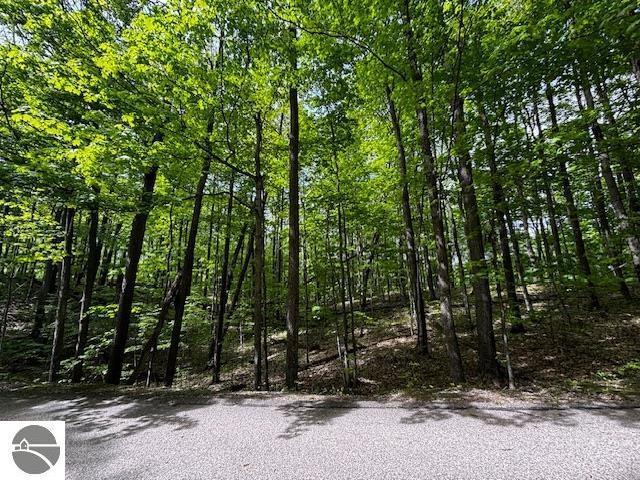 UNIT24 Forest Trl, Bellaire, MI 49615