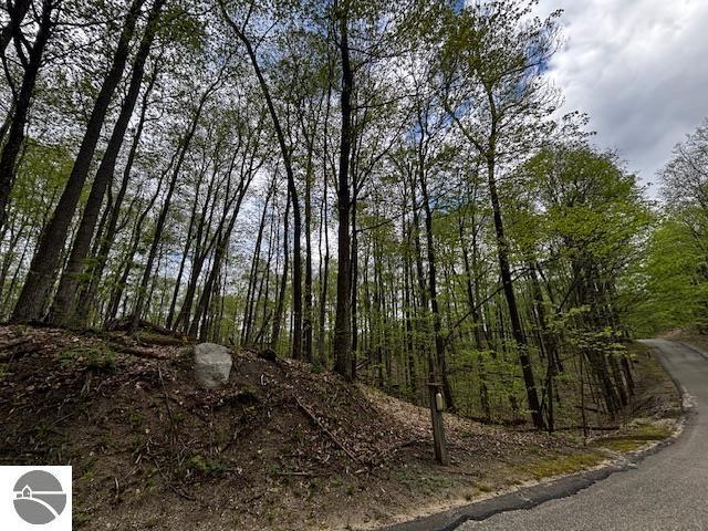 UNIT24 Forest Trl, Bellaire, MI 49615