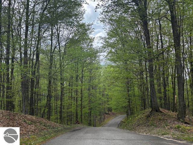 UNIT24 Forest Trl, Bellaire, MI 49615
