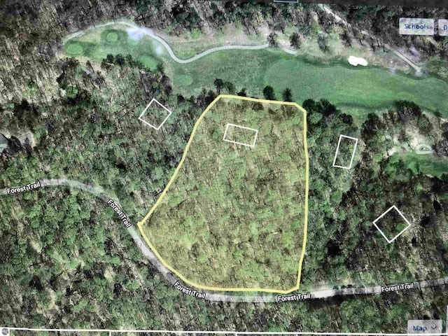 UNIT24 Forest Trl, Bellaire, MI 49615