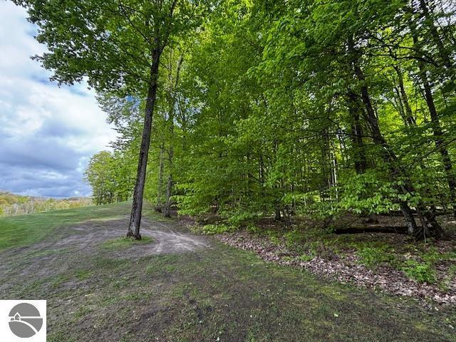 UNIT24 Forest Trl, Bellaire, MI 49615