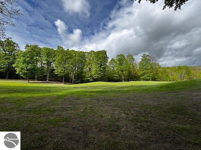 UNIT24 Forest Trl, Bellaire, MI 49615