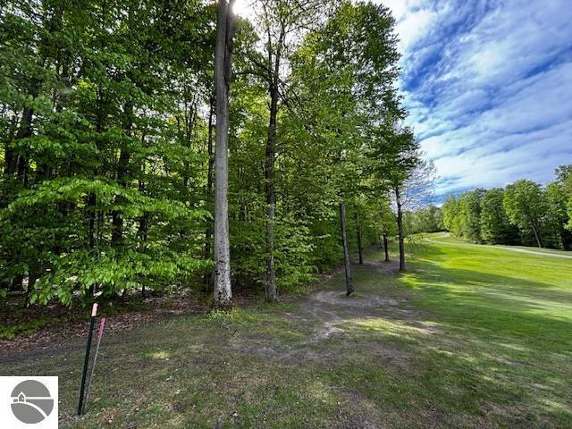 UNIT24 Forest Trl, Bellaire, MI 49615