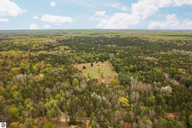 11567 Lake Valley Rd, Kalkaska, MI 49646 - aerial view of property's location with a forest