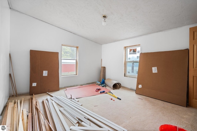 11567 Lake Valley Rd, Kalkaska, MI 49646 - carpeted empty room with a textured ceiling and lofted ceiling
