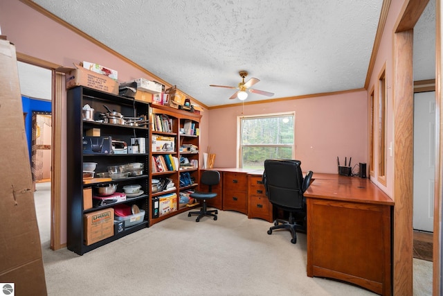 11567 Lake Valley Rd, Kalkaska, MI 49646 - carpeted office space with crown molding, a ceiling fan, and a textured ceiling