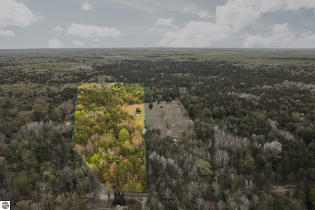 11567 Lake Valley Rd, Kalkaska, MI 49646 - aerial overview of property's location with a heavily wooded area and property parcel outlined
