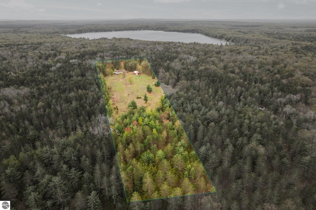 11567 Lake Valley Rd, Kalkaska, MI 49646 - aerial overview of property's location with a nearby body of water, a heavily wooded area, and property boundaries highlighted