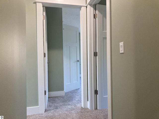 9296 S Flaska Dr Unit 14, Cedar, MI 49621 - corridor with carpet and baseboards