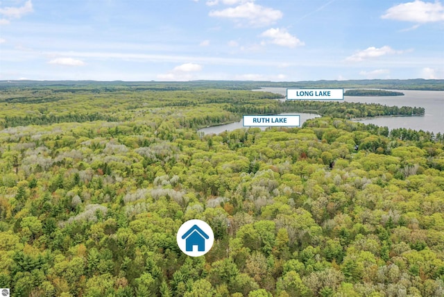 145 Fisher Rd, Traverse City, MI 49685 - aerial view of a heavily wooded area and a large body of water