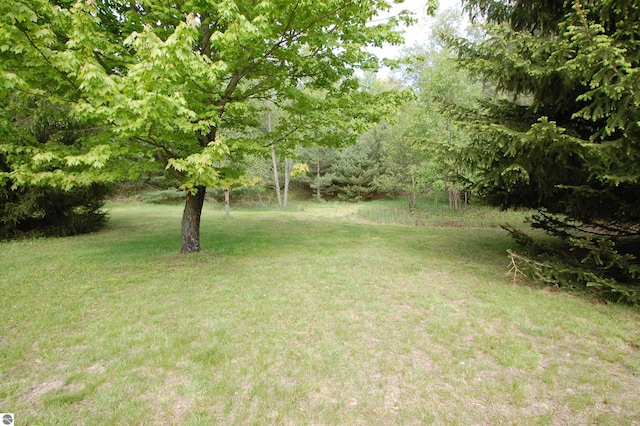 1137 Stoney Ridge Rd, West Branch, MI 48661 - view of green lawn