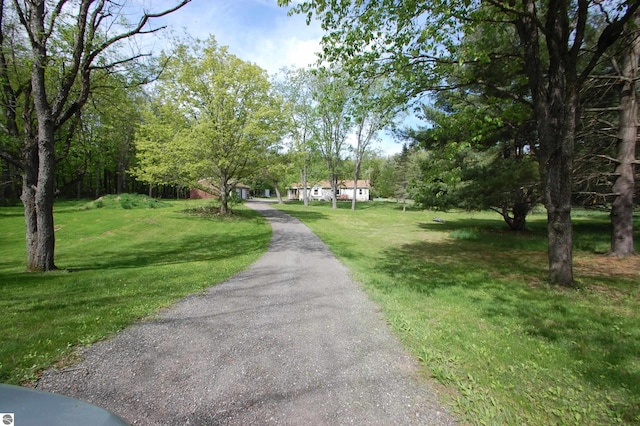1137 Stoney Ridge Rd, West Branch, MI 48661 - view of asphalt driveway