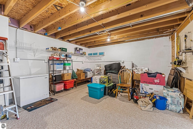 2683 Green Meadows Dr Unit 10, Traverse City, MI 49685 - unfinished basement with white fridge and concrete block wall