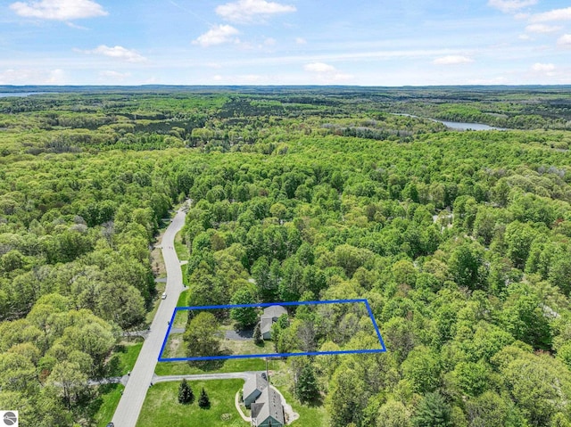 4667 Arbor Latch, Traverse City, MI 49685 - aerial overview of property's location featuring a heavily wooded area, property boundaries highlighted, and a large body of water