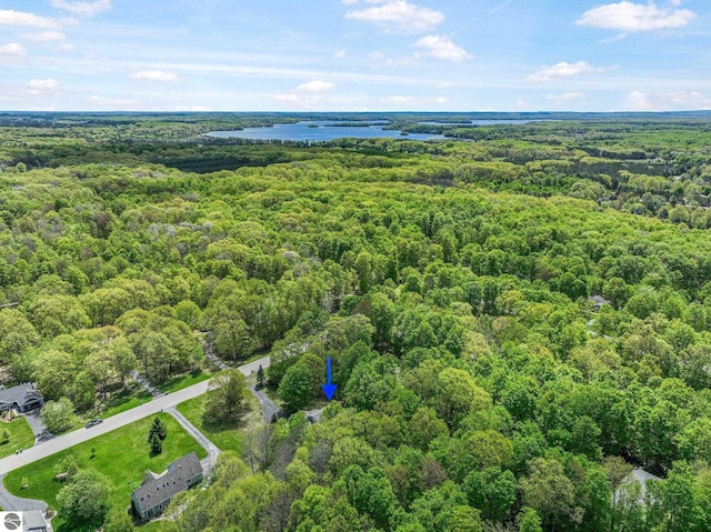 4667 Arbor Latch, Traverse City, MI 49685 - aerial view of a heavily wooded area and a nearby body of water