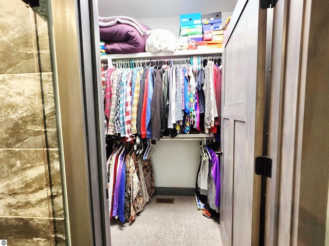 6238 E Gallivan Rd, Cedar, MI 49621 - walk in closet with carpet flooring