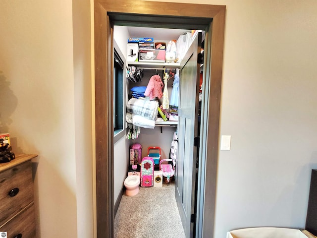 6238 E Gallivan Rd, Cedar, MI 49621 - view of closet