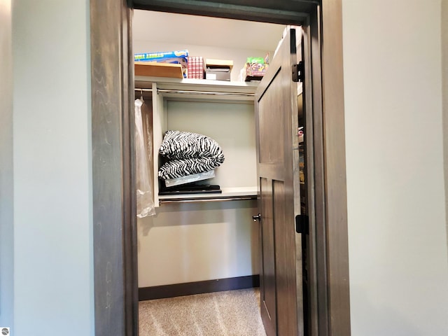 6238 E Gallivan Rd, Cedar, MI 49621 - view of closet