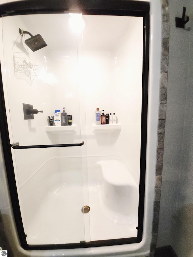 6238 E Gallivan Rd, Cedar, MI 49621 - bathroom with a stall shower