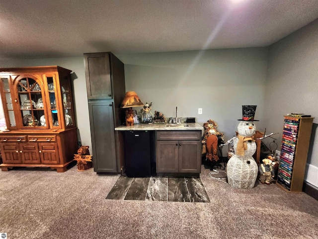 6238 E Gallivan Rd, Cedar, MI 49621 - indoor wet bar with carpet and a textured ceiling