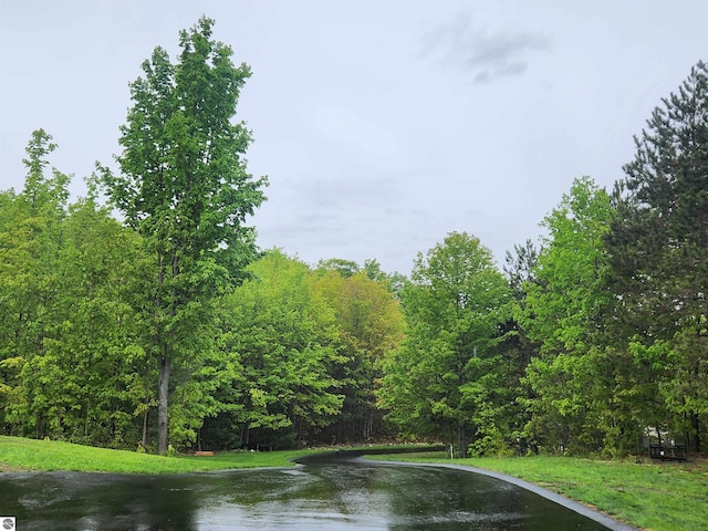 6238 E Gallivan Rd, Cedar, MI 49621 - water view with a heavily wooded area