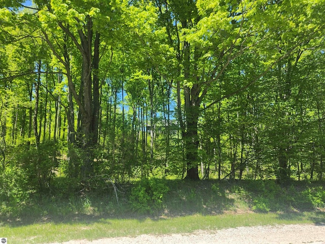 6238 E Gallivan Rd, Cedar, MI 49621 - view of local wilderness