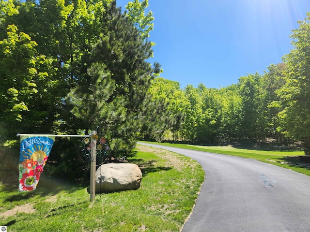 6238 E Gallivan Rd, Cedar, MI 49621 - view of asphalt road