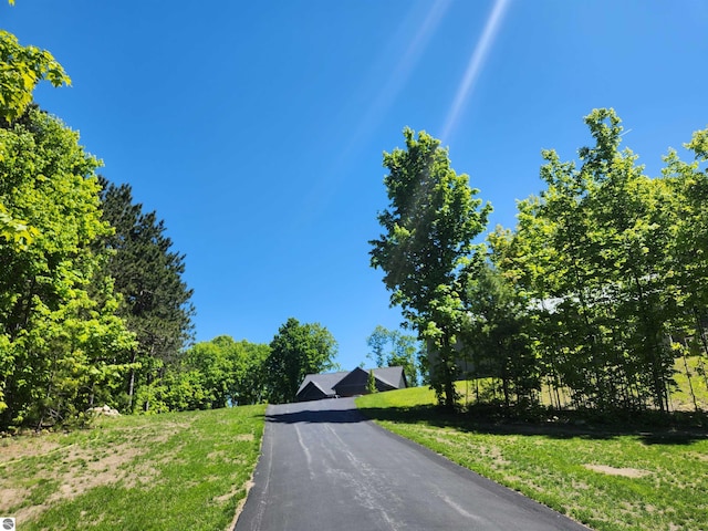 6238 E Gallivan Rd, Cedar, MI 49621 - view of asphalt road