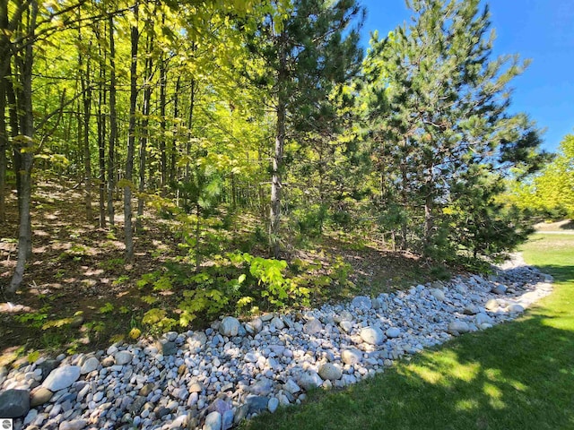 6238 E Gallivan Rd, Cedar, MI 49621 - view of yard with a view of trees