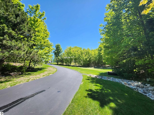 6238 E Gallivan Rd, Cedar, MI 49621 - view of asphalt road