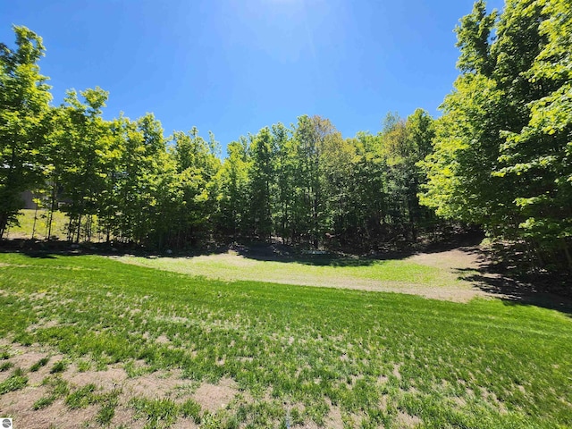 6238 E Gallivan Rd, Cedar, MI 49621 - view of green lawn