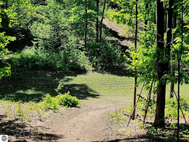 6238 E Gallivan Rd, Cedar, MI 49621 - view of local wilderness