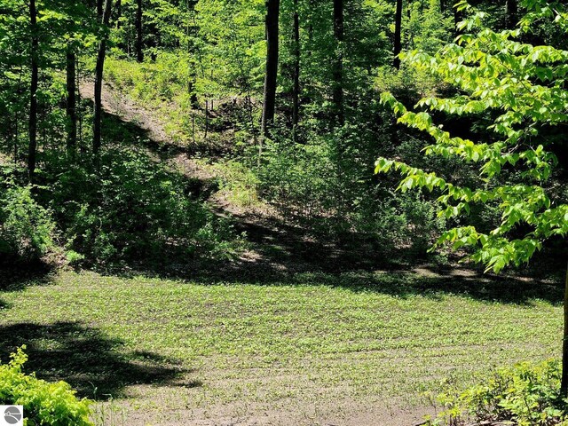 6238 E Gallivan Rd, Cedar, MI 49621 - view of green lawn featuring a view of trees