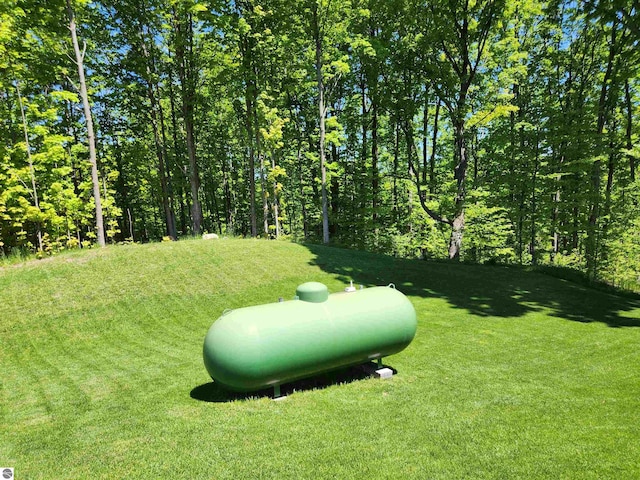 6238 E Gallivan Rd, Cedar, MI 49621 - view of grassy yard