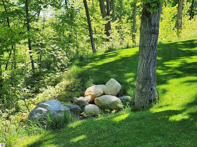 6238 E Gallivan Rd, Cedar, MI 49621 - view of green lawn with a wooded view